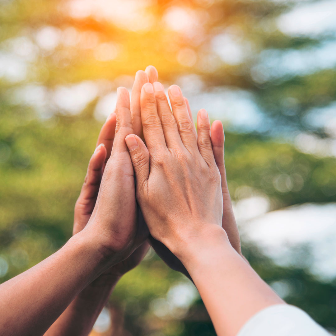 Vier Hände treffen sich wie zum High Five in der Mitte.